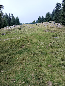 Photo 1 de Forcella di Brez