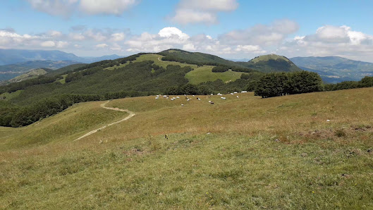 Photo 3 de Passo della Crociglia