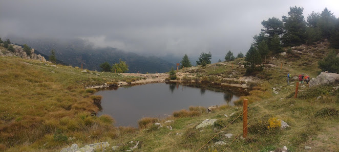 Photo 1 de Quarzina