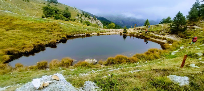 Photo 2 de Quarzina