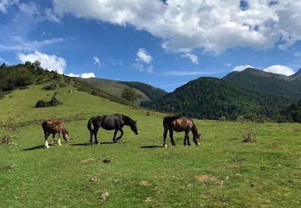 Photo 1 de Col de Castet