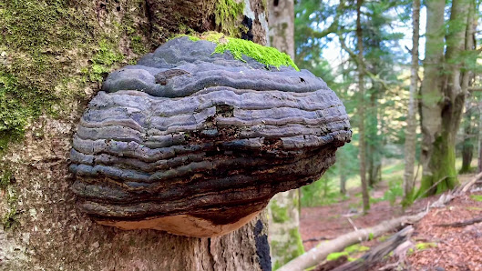 Photo 2 de Col de Castet