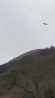 Photo 3 de Col de Castet