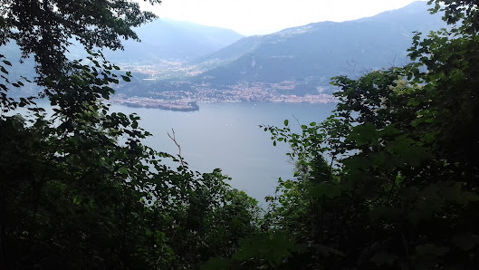 Photo 2 de Terzana