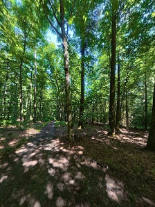 Photo 2 de Mühltal