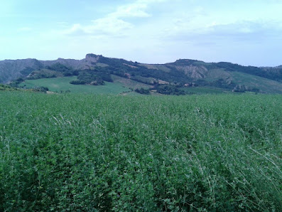 Photo 1 de Croara