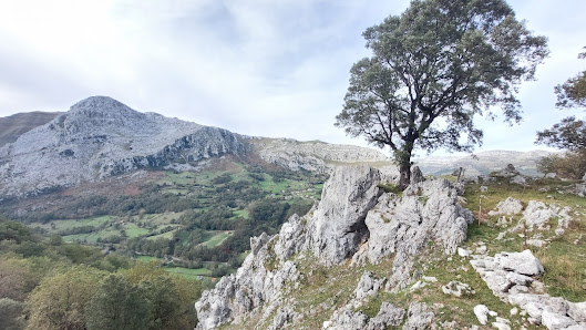 Photo 2 de Rocías