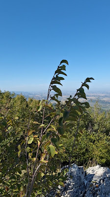 Photo 2 de Monte Murano