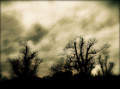 Photo 1 de Madonna d'Arla