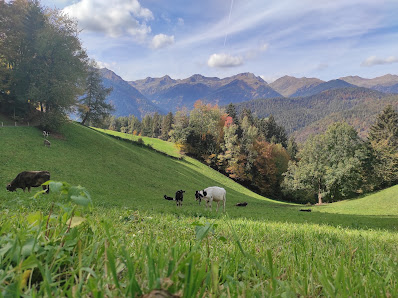 Photo 1 de Tregiovo