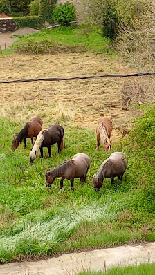 Photo 3 de Campelles