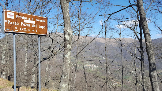 Photo 2 de Passo di Romaggi