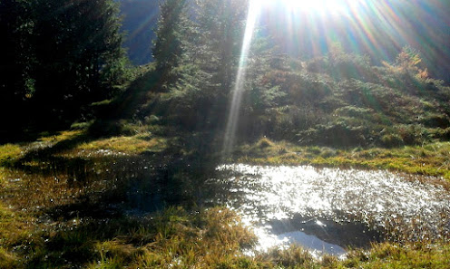 Photo 1 de Sportgastein