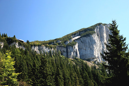 Photo 2 de Steinplatte