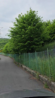 Photo 3 de Colle Gallo