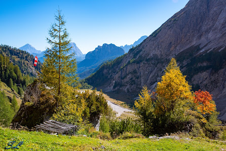 Photo 2 de Malga Ombretta - fine asfalto