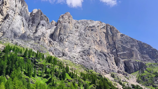 Photo 3 de Malga Ombretta - fine asfalto