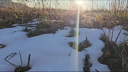 Photo 3 de Crai - Rifugio Solarie