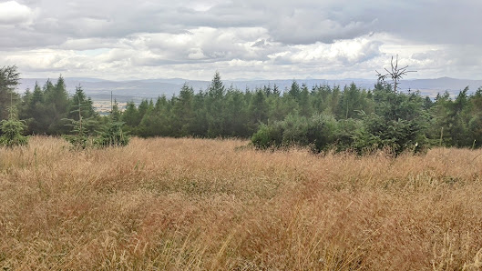 Photo 1 de Dores Hill