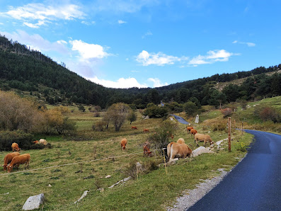 Photo 2 de Coll de Creu