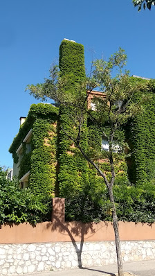 Photo 1 de El Viso