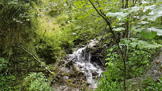 Photo 3 de Wildschönau
