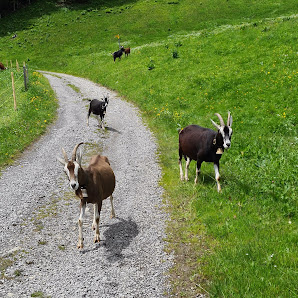 Photo 1 de Col de Soladier