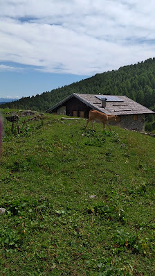 Photo 3 de Malga Arza