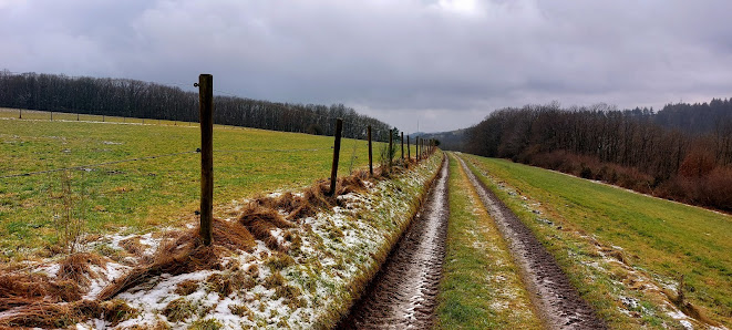Photo 1 de Côte de Gralingen