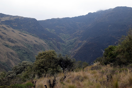 Photo 2 de Abra Acjanaco