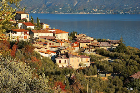Photo 1 de Gaino