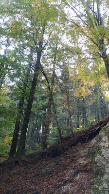 Photo 3 de Monte Camposauro