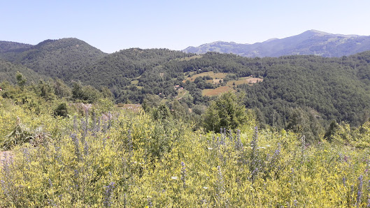 Photo 1 de Mazlina climb