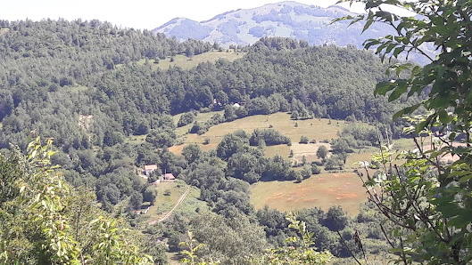 Photo 2 de Mazlina climb
