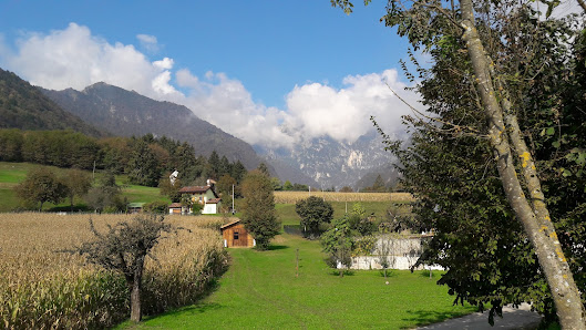 Photo 1 de Vignui