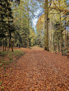 Photo 1 de Bieselberg