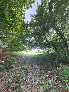Photo 2 de Bieselberg