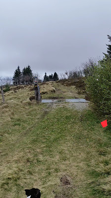 Photo 3 de Col du Béal