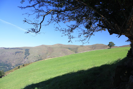 Photo 1 de Colsa