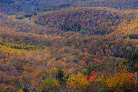 Photo 2 de Lincoln Gap