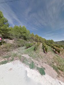 Photo 2 de Coll de la Creu de Sapera