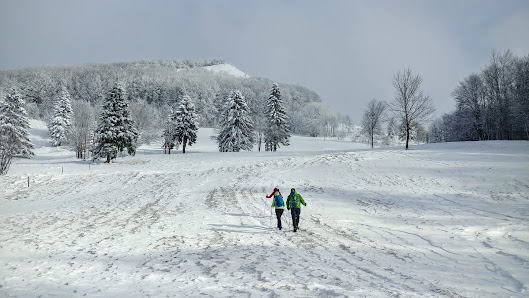 Photo 2 de Podkraj