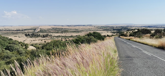 Photo 1 de Lichens Pass