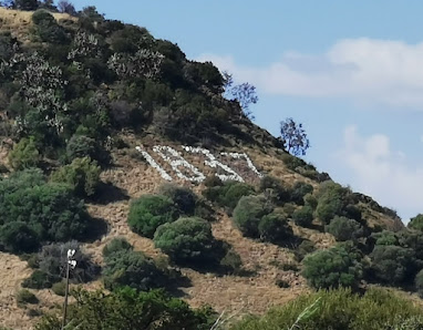 Photo 2 de Lichens Pass