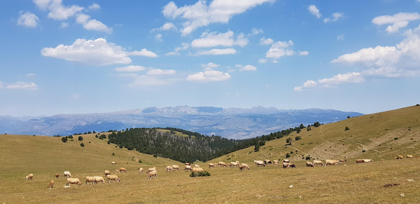 Photo 1 de Cim de Coma Morera