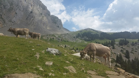 Photo 1 de Barbaruens