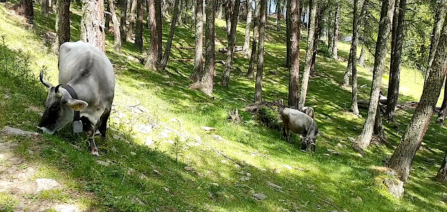 Photo 3 de San Martino al Monte