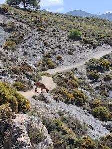Photo 1 de Cumbres Verdes