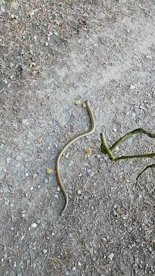 Photo 3 de Schwarzenberg