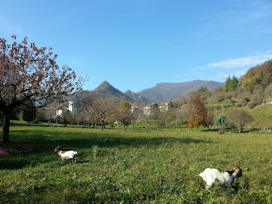 Photo 1 de Carvanno